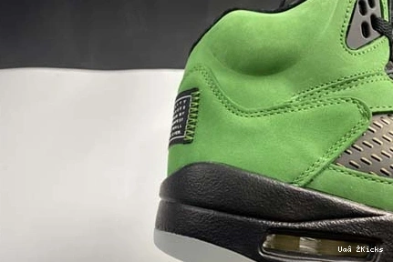 CK6631-307 Air Jordan Jordan “Oregon” Air 5 DailyWear 598 5 0816